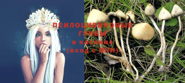 ПСИЛОЦИБИНОВЫЕ ГРИБЫ Сафоново