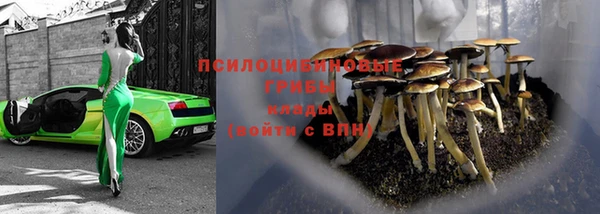 альфа пвп Ростов